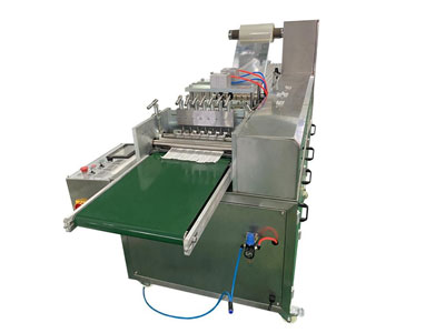Envasadora horizontal, PPD-SPM120