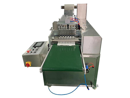 Envasadora Horizontal, para Hisopos PPD-SSP120