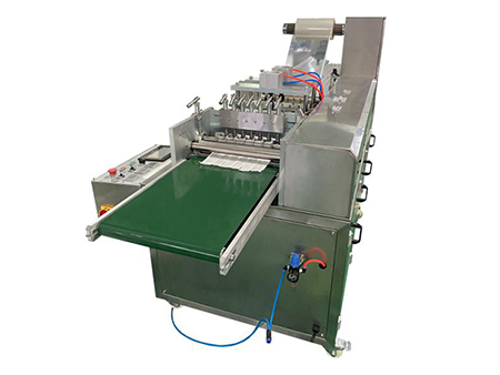 Envasadora Horizontal, para Hisopos PPD-SSP120